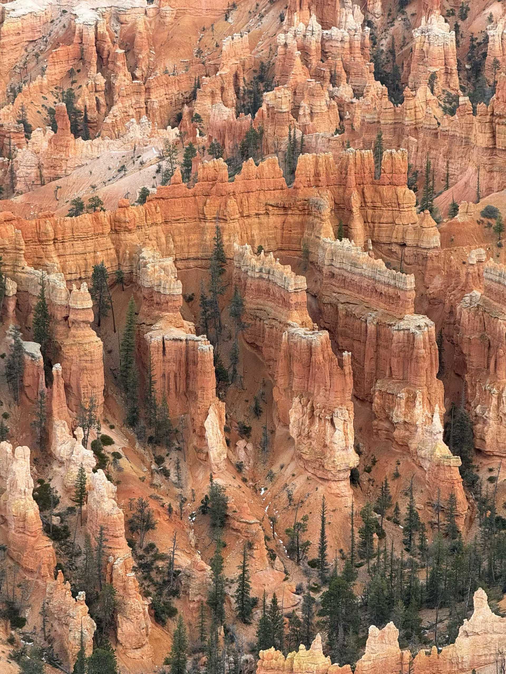 Bryce Canyon 国家公园