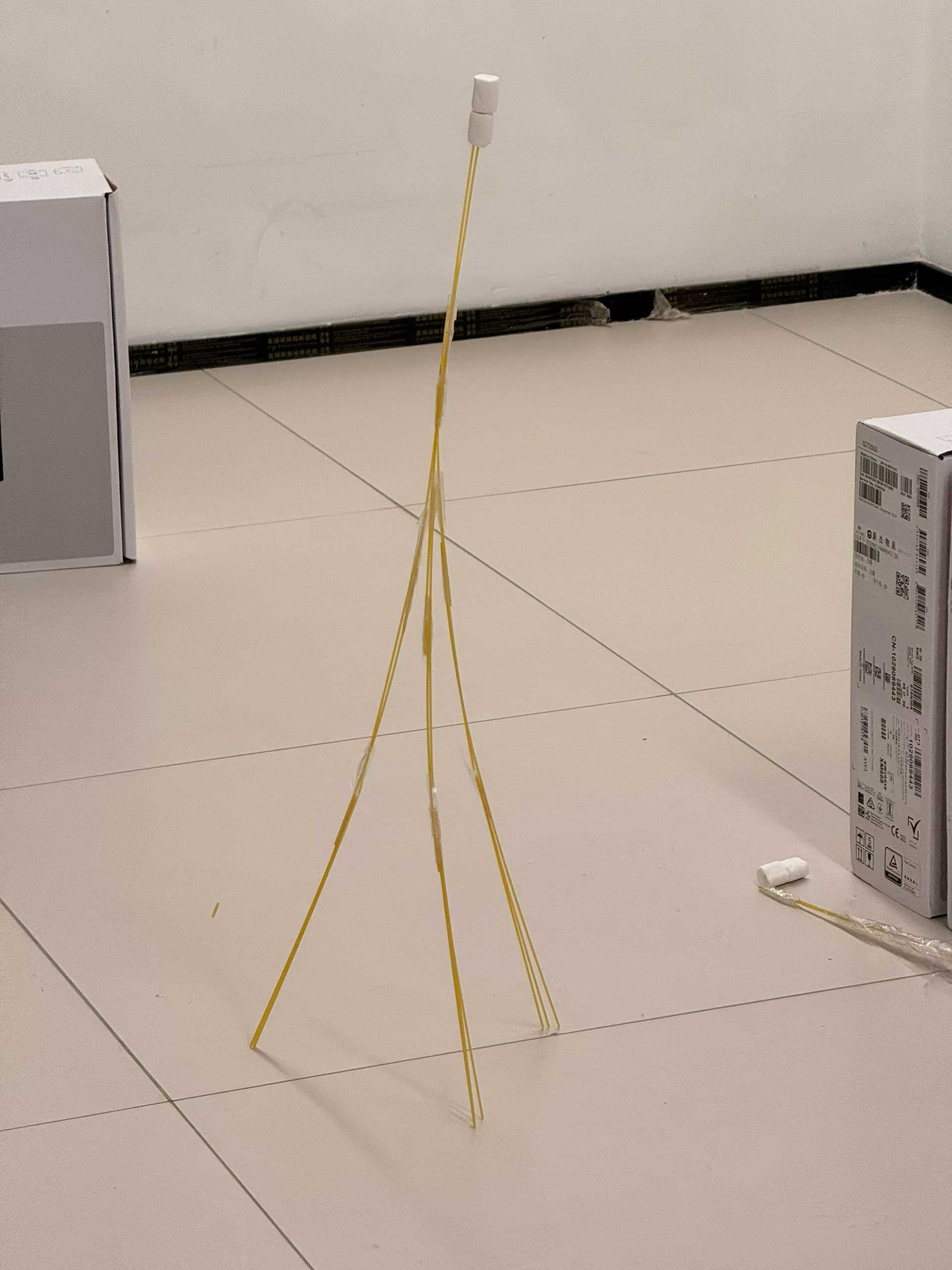 我们搭建的通心粉塔